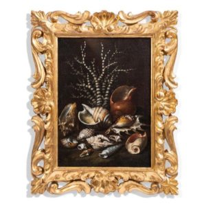 Paolo Porpora (Italian 1617-1673) Still Life of Shells and Coral
