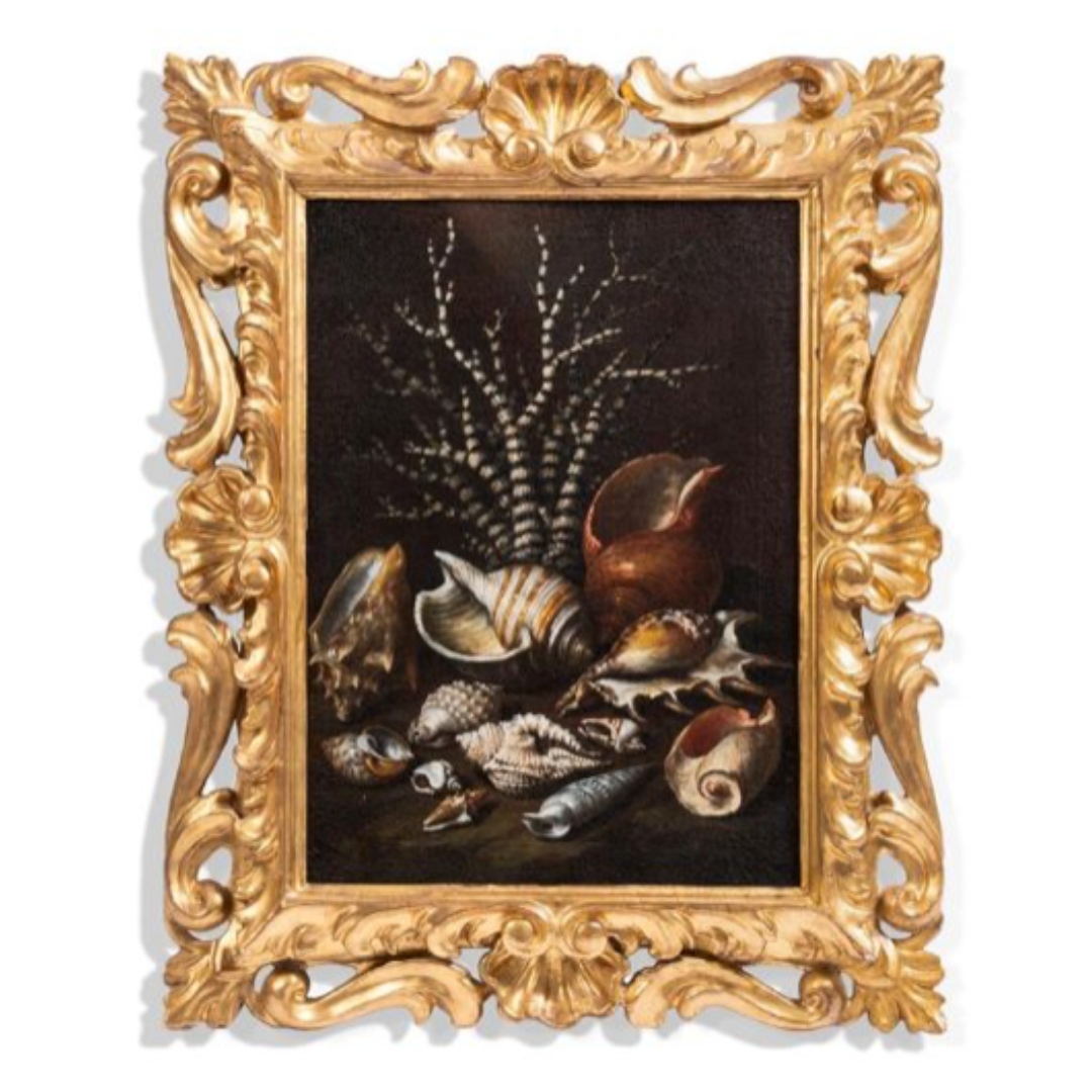 Paolo Porpora (Italian 1617-1673) Still Life of Shells and Coral