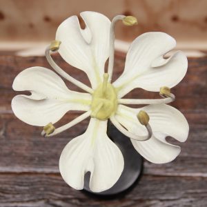 A German Botanical Teaching Model of a Hemlock Flower (Umbelliferae)