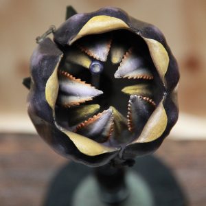 A Rare German Botanical Teaching Model of an Asclepiad Flower