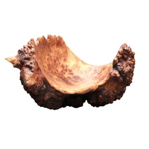 A burr walnut bowl 20th Century